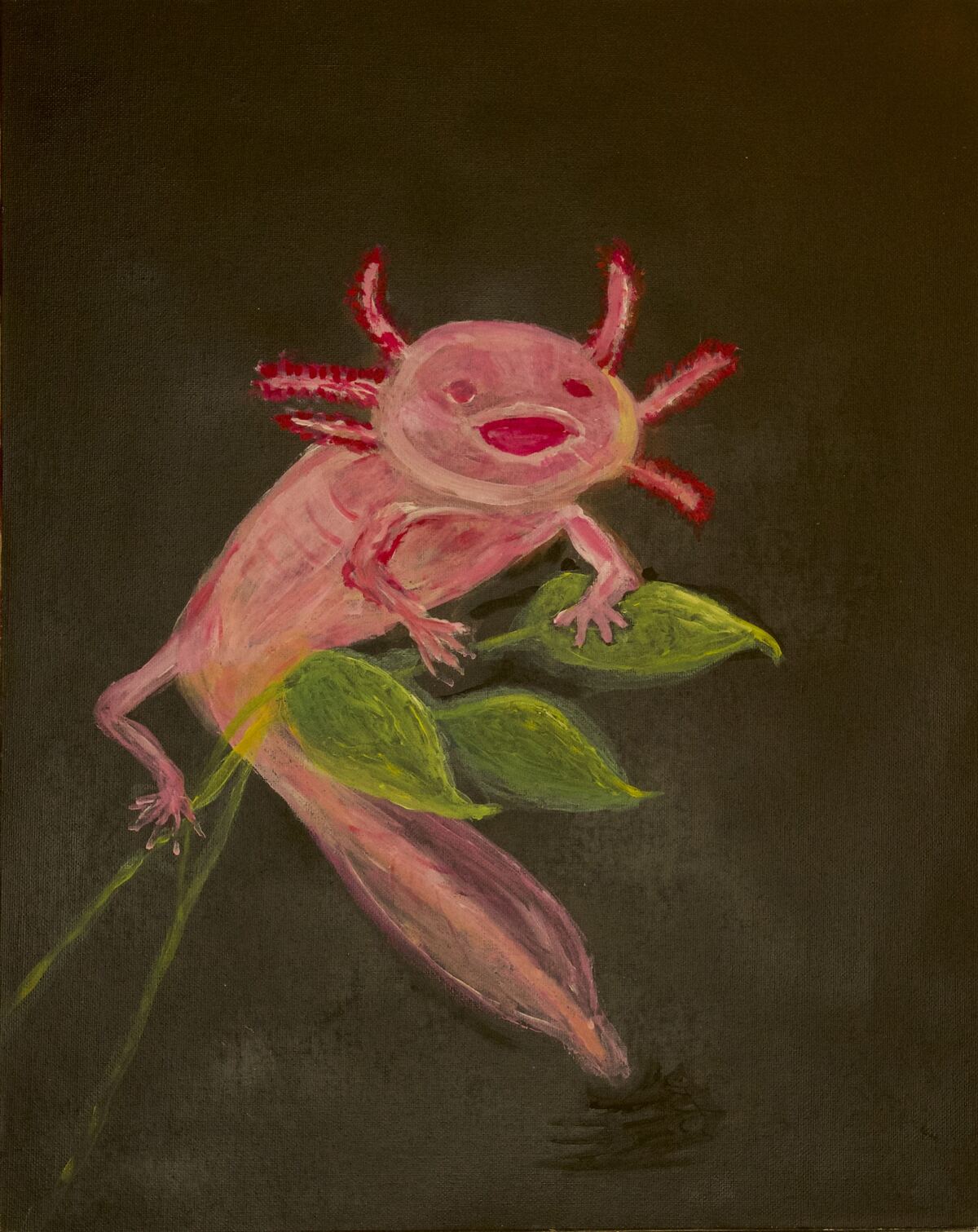 Axolotl