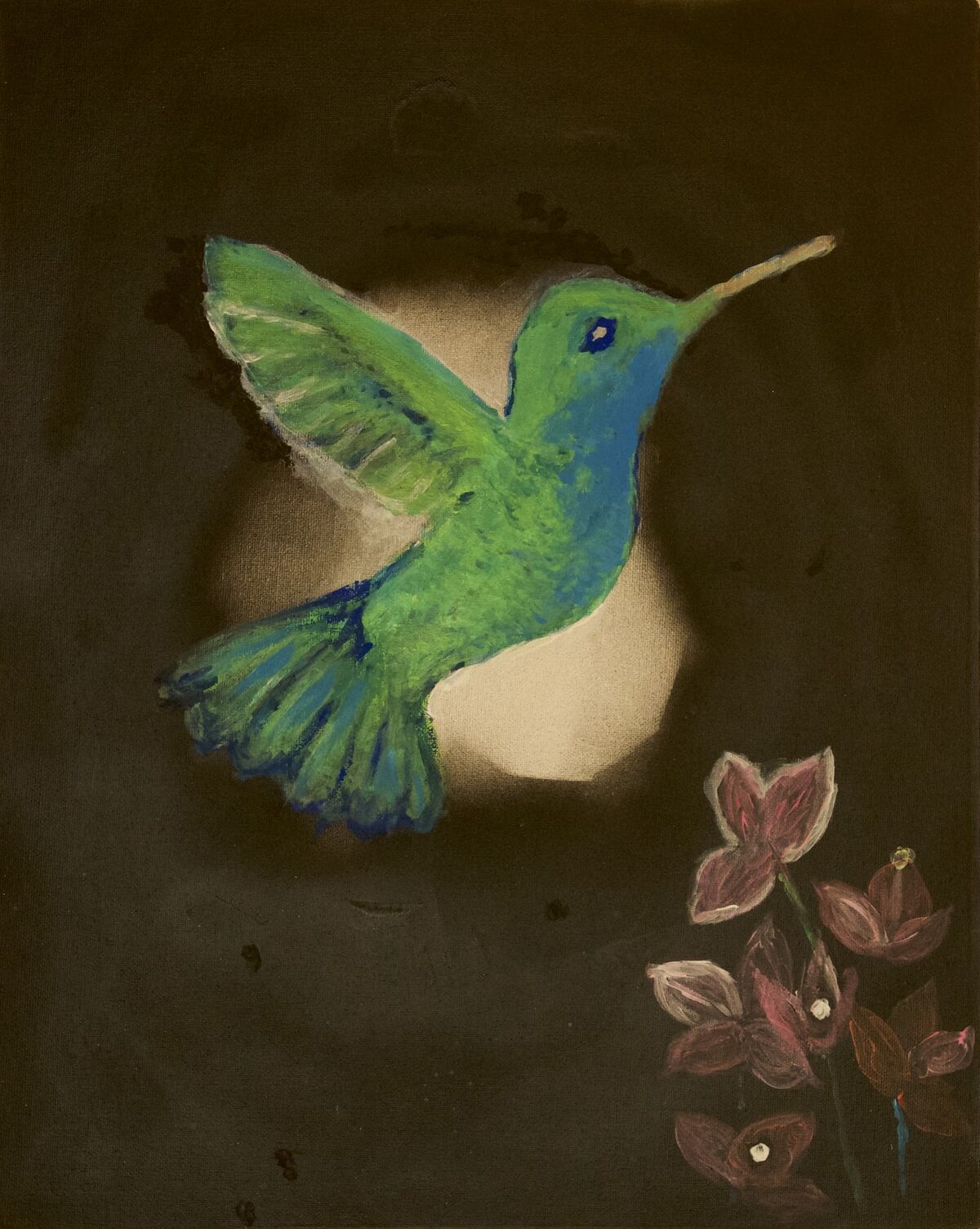 Colibrí